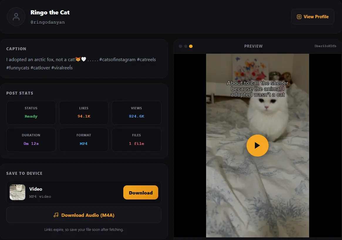 Instagram reels downloader saving a reel, a feed post and a carousel as MP4 and JPG files